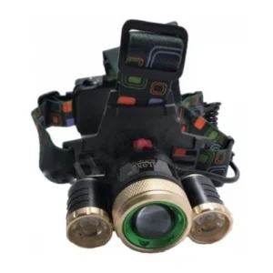 Focus Headlights