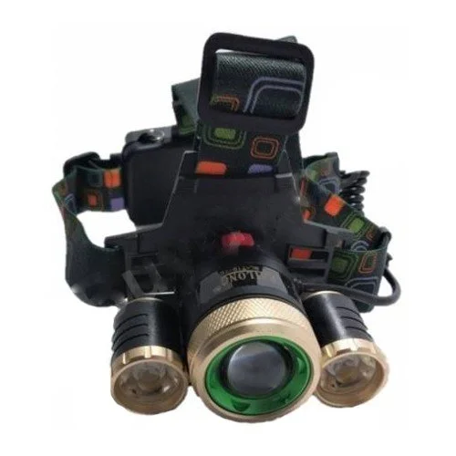 Focus Headlights
