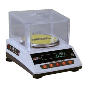 Weight Scale