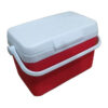 4 Liter Insulated Ice Box for Vaccine - Image 2