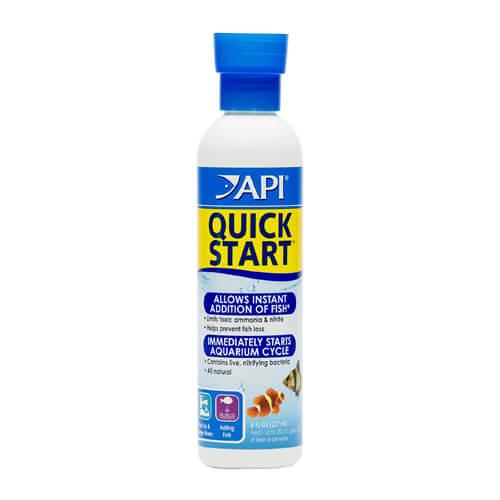 Nitrifying Bacteria