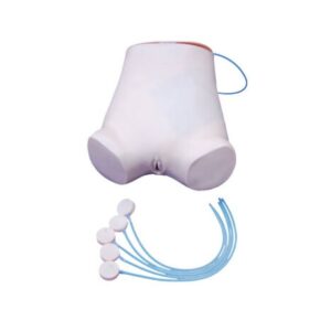 Abdominal Puncture Model XC-464