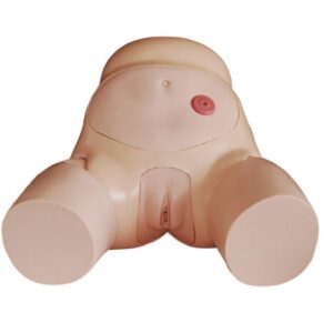 Urethral Catheterization Simulator