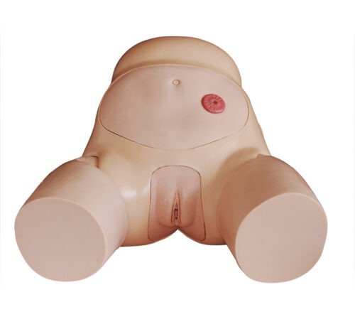 Urethral Catheterization Simulator