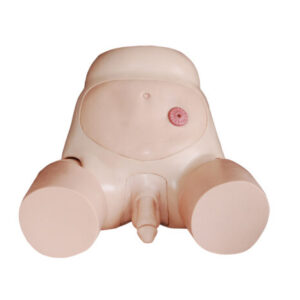 Urethral Catheterization Simulator