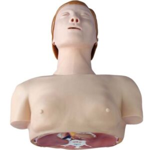 CPR Training Model
