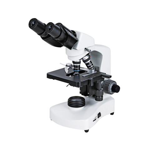 Binocular Microscope