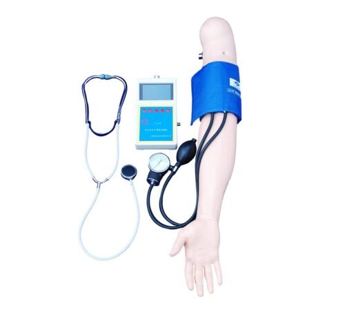Blood Pressure Training Arm