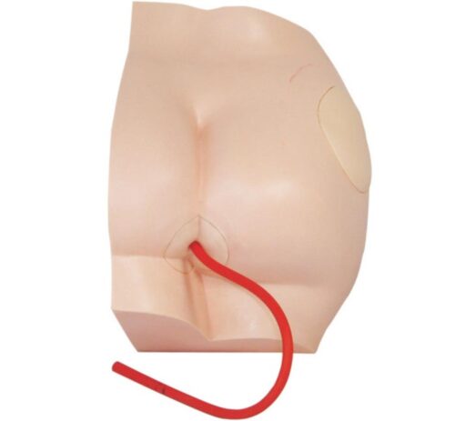 Buttock Injection Model