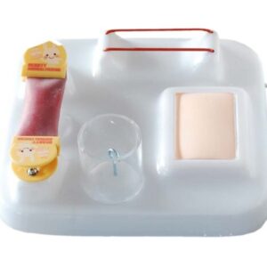 Surgical Model
