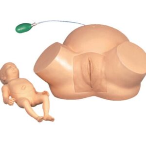 Dystocia Training Simulator