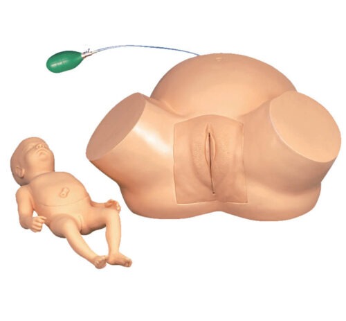 Dystocia Training Simulator