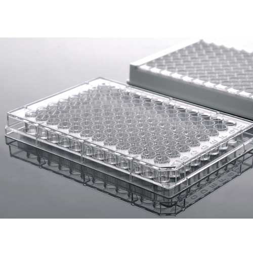 ELISA Plate