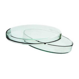 Glass Petri Dish 120 mm for Lab Use Germany