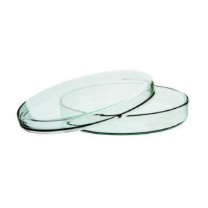 Glass Petri Dishes