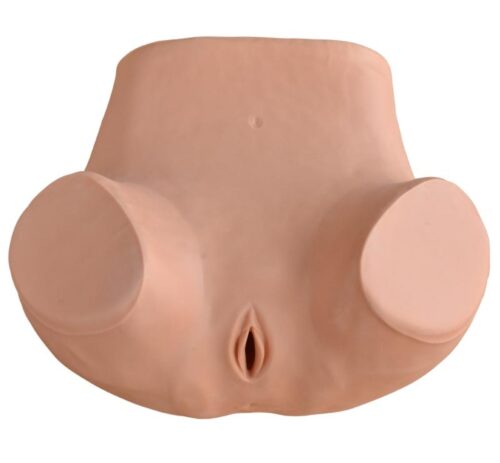 Gynecological Training Simulator