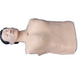 Half Body CPR Training Model (Male)