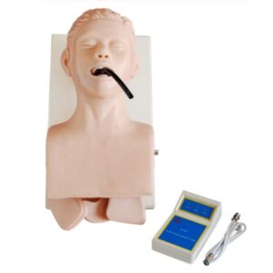 Human Trachea Intubation Model