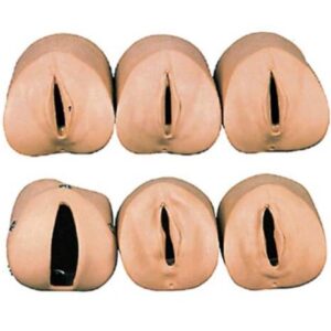 Labor Delivery Module