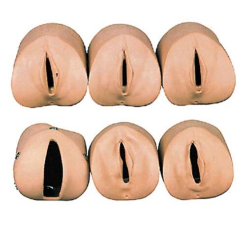Labor Delivery Module