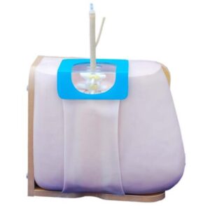 Lumbar Puncture Model