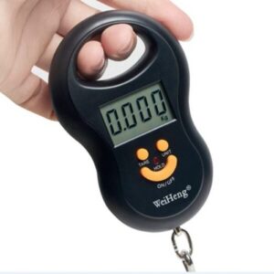 Hanging Scale