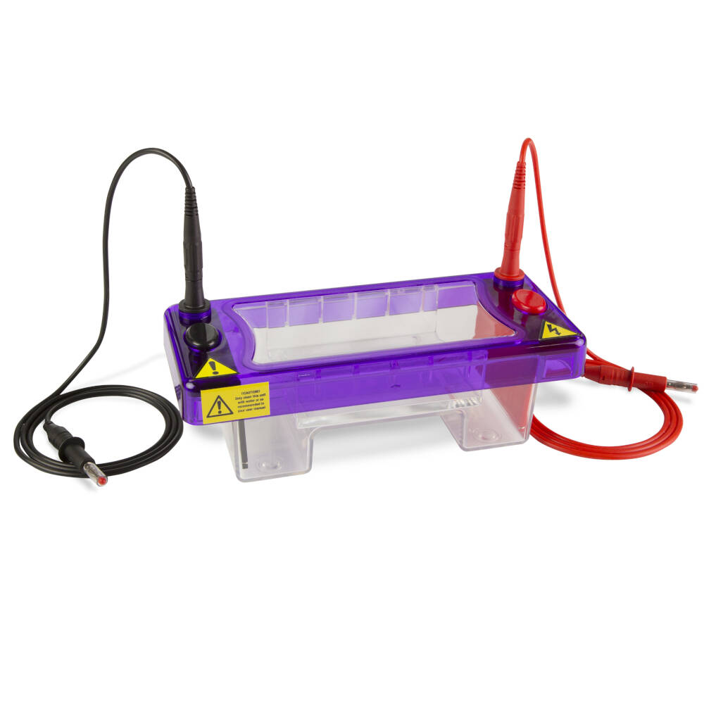 Electrophoresis System