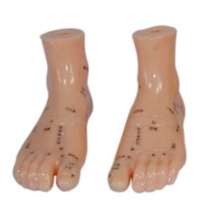 Massage Foot Model 12CM