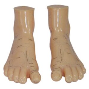 Massage Foot Model 17CM