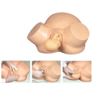 Midwifery Training Simulator