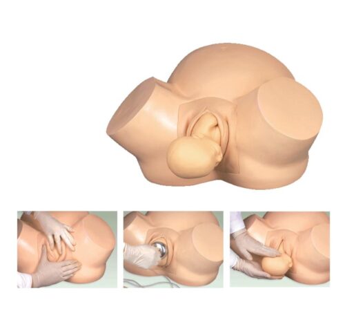 Midwifery Training Simulator
