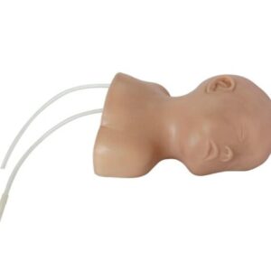 Neonate Scalp Venipuncture Model