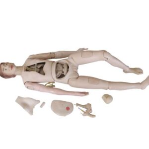 New Style High Quality Nurse Training Doll (Female)