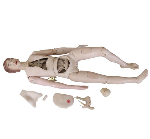 New Style High Quality Nurse Training Doll (Female)