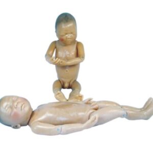 Newborn Model (Baby Model)