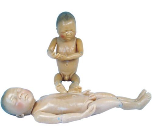 Newborn Model (Baby Model)