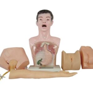 Nurse Basic Practice Teaching Model