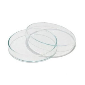 plastic Petri dish