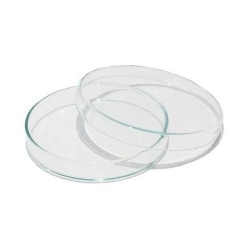 plastic Petri dish