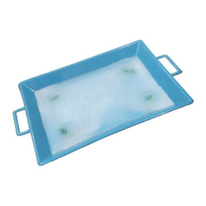 Plastic Tray