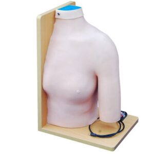 Shoulder Joint Intracavitary Injection Model