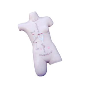 Surgical Suture and Bandaging Model