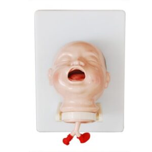 The Model of Newborn Intubation