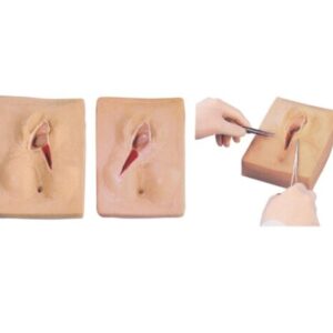 Vulva Suturing Training Simulator