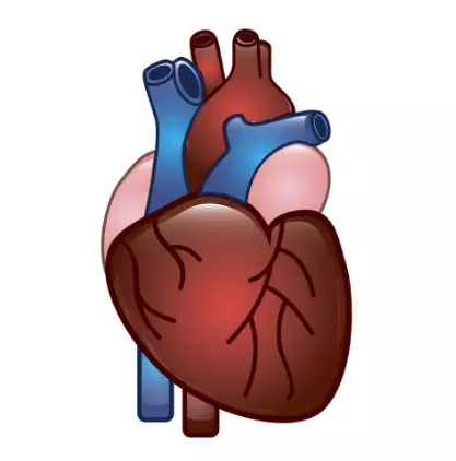 Myocardium Zymogram Items